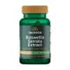 Boswellia 5-Loxin Swanson, 125 mg (60 gélules)