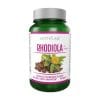 Rhodiola – Rhodiola Activlab (60 gélules)