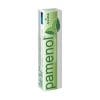 Crème Pamenol au menthol Alpa (40 g)